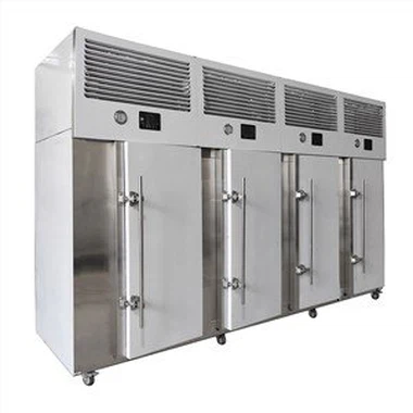 productcate-1-1 Seafood IQF Flash Freezing Equipment