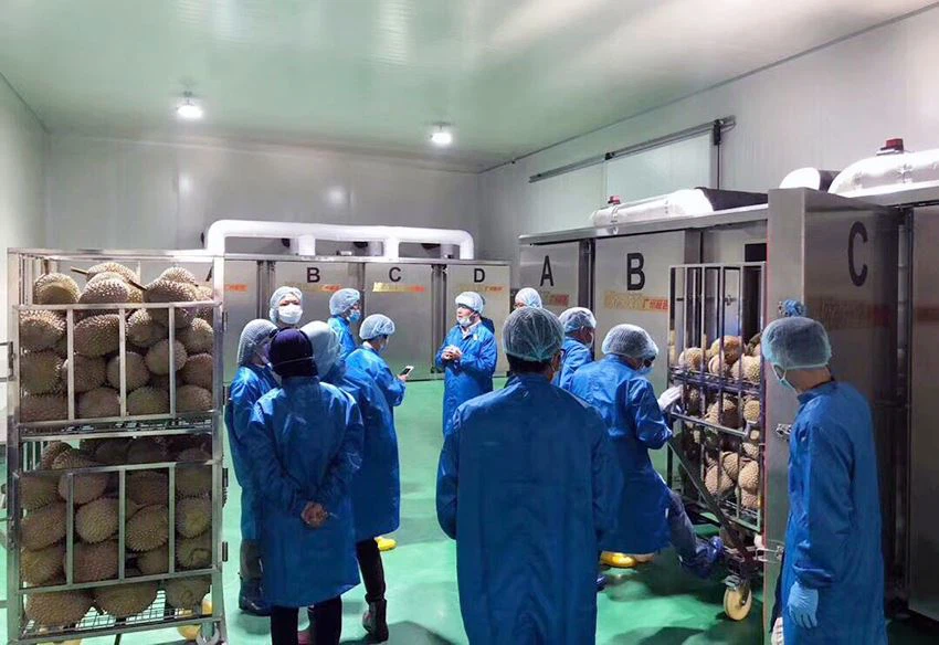 Liquid nitrogen freeze machine for durian case