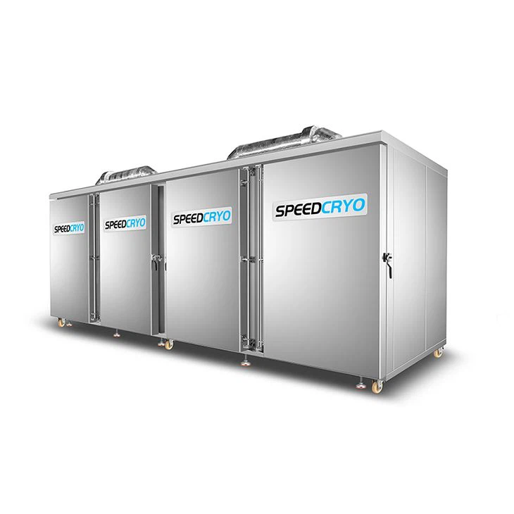 Large Industrial Durian Freezer
