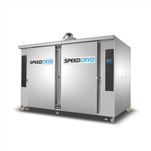 Large Industrial IQF Blast Freezer