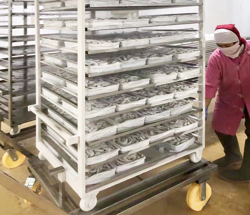 Liquid nitrogen shock freezer for shrimp